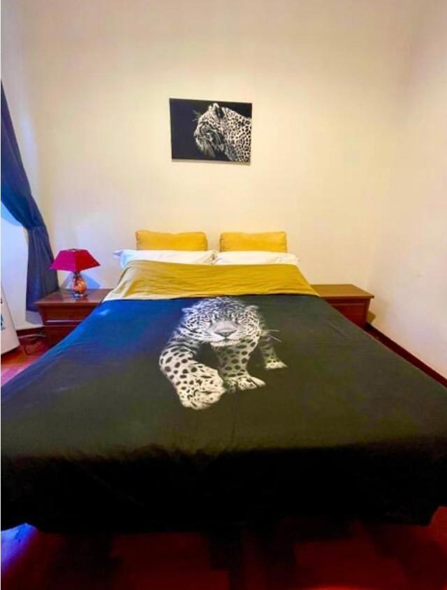 罗马Parisa House公寓 外观 照片